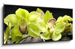 Obraz 1D panorama - 120 x 50 cm F_AB28704668 - Wellness concept with zen stone and orchid