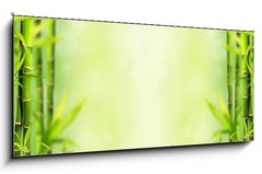 Skleněný obraz 1D panorama - 120 x 50 cm F_AB28907329 - Bamboo background - Bambusové pozadí