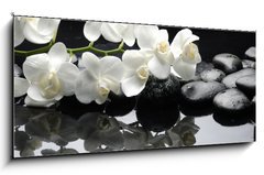 Obraz   Close up white orchid with stone water drops, 120 x 50 cm