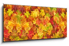 Obraz 1D panorama - 120 x 50 cm F_AB295252486 - Maple leaves Autumn red yellow green floral background banner