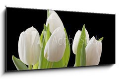 Sklenn obraz 1D panorama - 120 x 50 cm F_AB29886850 - Tulips