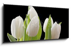 Obraz   Tulips, 120 x 50 cm