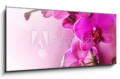 Sklenn obraz 1D panorama - 120 x 50 cm F_AB30014255 - Orchid Flower border design