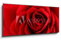 Sklenn obraz 1D panorama - 120 x 50 cm F_AB30035438 - Rote Rose - erven re