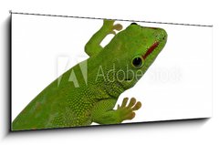 Obraz 1D panorama - 120 x 50 cm F_AB3016112 - lezard vert