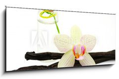 Obraz   vanilla oil isolated on white background, 120 x 50 cm