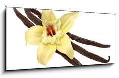 Sklenn obraz 1D panorama - 120 x 50 cm F_AB30979053 - Vanilla Bean and Flower (clipping path) - Vanilkov fazole a kvtina (oezov cesta)