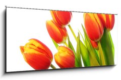 Obraz   Tulips bouquet, 120 x 50 cm