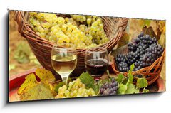 Sklenn obraz 1D panorama - 120 x 50 cm F_AB31176715 - Wine and Grapes in the Vineyard