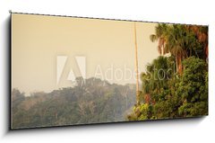 Sklenn obraz 1D panorama - 120 x 50 cm F_AB31242265 - Sandoval See, Amazonas, Peru