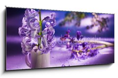 Skleněný obraz 1D panorama - 120 x 50 cm F_AB31402234 - Still life with hyacinth flower in gentle violet colors and magi - Zátiší s květinou hyacintu v jemných fialových barvách a magii
