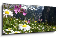 Obraz   Blumenwiese mit Gebirge im Hintergrund, 120 x 50 cm