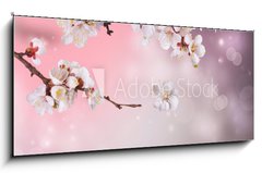 Skleněný obraz 1D - 120 x 50 cm F_AB31669597 - Spring Blossom Design - Návrh jarního květu