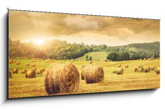 Sklenn obraz 1D panorama - 120 x 50 cm F_AB31838189 - Field of freshly bales of hay with beautiful sunset