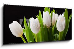 Obraz 1D panorama - 120 x 50 cm F_AB31897392 - Bouquet of white tulips on black background