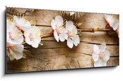 Skleněný obraz 1D panorama - 120 x 50 cm F_AB31985632 - Wood background with spring blossom - Dřevěné pozadí s jarní květy