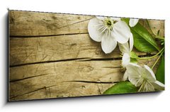 Sklenn obraz 1D panorama - 120 x 50 cm F_AB32219787 - Spring Blossom over wooden background