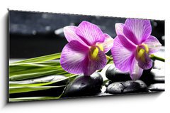 Sklenn obraz 1D panorama - 120 x 50 cm F_AB32225654 - Oriental spa with orchid with and green plant on zen stones