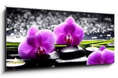 Obraz 1D panorama - 120 x 50 cm F_AB32250117 - Spa still life with set of pink orchid and stones reflection - Lzesk zti se sadou rov orchideje a odrazem kamene