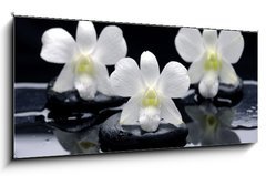 Obraz 1D panorama - 120 x 50 cm F_AB32251402 - Spa Still life with beautiful white orchid on therapy stones