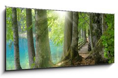 Sklenn obraz 1D panorama - 120 x 50 cm F_AB32267229 - Sonnenschein im Wald neben klarem See