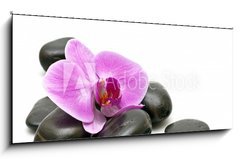 Obraz   Pink orchid and zen Stones on a white background, 120 x 50 cm