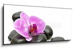 Obraz 1D panorama - 120 x 50 cm F_AB32282499 - Pink orchid and zen Stones on a white background - Rov orchidej a zen kameny na blm pozad