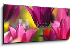 Sklenn obraz 1D panorama - 120 x 50 cm F_AB32429216 - Spring beauty