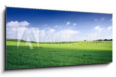 Obraz 1D panorama - 120 x 50 cm F_AB3256956 - russia summer landscape - green fileds, the blue sky and white c - rusk letn krajina