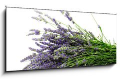 Obraz 1D panorama - 120 x 50 cm F_AB32774353 - Lavender