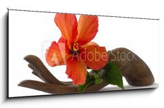 Obraz 1D panorama - 120 x 50 cm F_AB33085231 - Red hibiscus on a wooden hand statuette