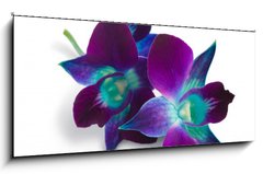 Obraz 1D panorama - 120 x 50 cm F_AB33133448 - orchid