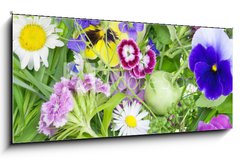 Obraz 1D panorama - 120 x 50 cm F_AB33239729 - Abstract June plants and flowers background - Abstrakt erven rostliny a kvtiny pozad