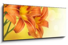 Skleněný obraz 1D panorama - 120 x 50 cm F_AB33384107 - Yellow Lily Flower border design - Žlutá květu Lily Flower design