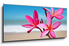 Obraz 1D panorama - 120 x 50 cm F_AB33453056 - Plumeria flowers on the beach - Plumeria kvtiny na pli