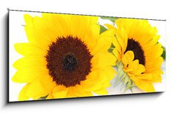 Sklenn obraz 1D - 120 x 50 cm F_AB33524592 - Sonnenblumen