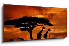 Obraz 1D panorama - 120 x 50 cm F_AB33526159 - herd of giraffes in the setting sun