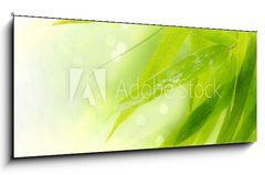 Obraz 1D - 120 x 50 cm F_AB34158661 - Wet bamboo leaves on white background.