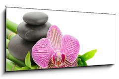 Sklenn obraz 1D panorama - 120 x 50 cm F_AB34345756 - Spa - Lzn