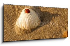 Sklenn obraz 1D panorama - 120 x 50 cm F_AB34349321 - Am Strand