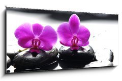 Sklenn obraz 1D panorama - 120 x 50 cm F_AB34882612 - Two orchid and black stone with reflection