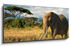 Obraz 1D - 120 x 50 cm F_AB34914447 - Lone elephant in front of Mt. Kilimanjaro