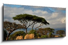 Sklenn obraz 1D - 120 x 50 cm F_AB34914448 - Elephant family in front of Mt. Kilimanjaro