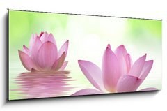 Sklenn obraz 1D - 120 x 50 cm F_AB34975989 - 