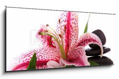 Sklenn obraz 1D panorama - 120 x 50 cm F_AB34989427 - Steine,Lilium