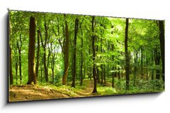 Obraz 1D panorama - 120 x 50 cm F_AB35316050 - Waldweg im Sommer