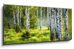 Obraz 1D panorama - 120 x 50 cm F_AB353870391 - Spring green foliage