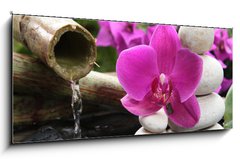 Skleněný obraz 1D panorama - 120 x 50 cm F_AB35402355 - Aux fil de l eau - Aux fil de lau