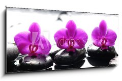 Obraz 1D panorama - 120 x 50 cm F_AB35871082 - Three zen stones and three orchids with reflection - Ti zenov kameny a ti orchideje s odrazem