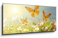 Obraz   summer flowers, 120 x 50 cm